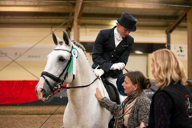 Lusitano Keuring Nederland 2011